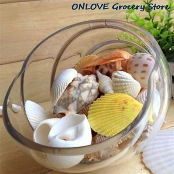 Juokinga, Sumaišyti Jūros Kriauklių Shell Amatų Akvariumas Jūrmylių Puošimas Ornamentais, Gamtos Mini Conches Apie 100g