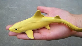 Jūrų gyvūnų modelio, citrinų ryklys