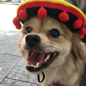 Mini Sombrero Juokingi Pet Skrybėlę Reguliuojamas Mini Meksikos Stiliaus Šiaudų Skrybėlę, Šunų Kačių Šalis Tiekia Šunų Kostiumų
