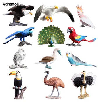Realus paukščių gyvūnų statulas,plastikiniai tropinių paukščių skaičius žaislų rinkinys įskaitant tukanai, stručiai, flamingas, dovanos vaikams
