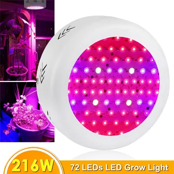 Viso Spektro Led Grow Light 200W +16W LED Grow Light Bulb Fito Lempos Kambarinių Augalų Šiltnamio efektą sukeliančių Daržovių Sodo Gėlė Auga