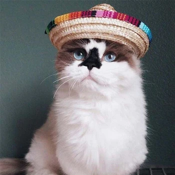 Šiaudų Sombrero Mexican Hat Pet Reguliuojamas Sagties Spalvotų Pet Šiaudų Šuo, Katė Skrybėlę Pet Apdailos Skrybėlę