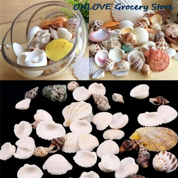 Juokinga, Sumaišyti Jūros Kriauklių Shell Amatų Akvariumas Jūrmylių Puošimas Ornamentais, Gamtos Mini Conches Apie 100g