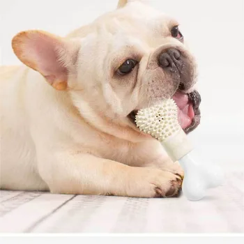Naminių gyvūnėlių Šuniuką Kramtyti Žaislus Mielas Kaulų Formos Dizainas Molinis Bite-atsparus Žaislas Dantų Šlifavimo Stick Graužti Dantų Valyti Naminių Reikmenys