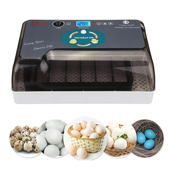 Naujausias Ūkių Perykla Inkubatorius Brooder Mašina 4-35 Kiaušinių Peryklų, Geros Kainos Vištienos Automatinė Kiaušinių Inkubatorius Paukščių Putpelių Brooder