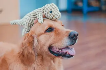 Pliušinis Šuo Žaislai Soundable Dinozaurų Įdaryti Žaislas Šunų Mokymo Geriausiai parduodamų Produktų Šunų Dantų Valymo Naminių gyvūnų Žaislai