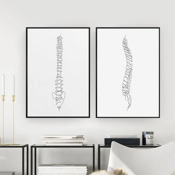 Stuburo Slankstelių Plakatas Abstraktus Piešinys Spausdinti Chiropractic Medicinos Meno Tapybos Drobės Anatomija Sienos Nuotrauka Kambarį Dekoro