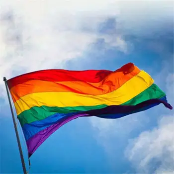 Vaivorykštė LGBT Vėliava, Garbanojimo Ranką Vėliavos Gėjų 14x21cm, Biseksualų Įdega Lyčių Visos Seksualinės Vėliavas Ir Plakatus Su Vėliava Lenkai