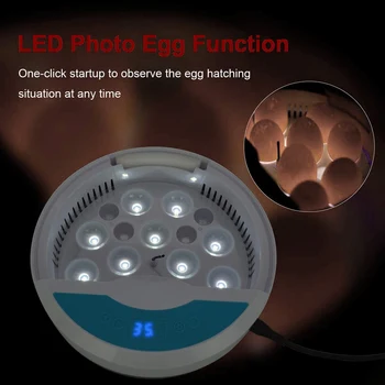 48 Kiaušiniai Automatinis Inkubatorius Hatcher Aišku, Kiaušinių Pasukdami Temperatūros Kontrolės Paukščių Hatcher Ūkio Perykla Namų Brooder Įrankiai