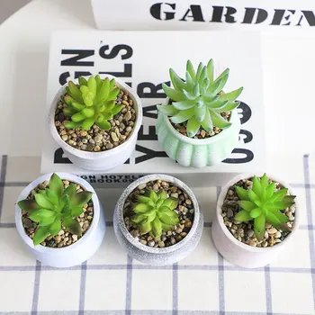 Didmeninė Korėjos In Mini Matinis Keramikos Sultingas Gėlių Vazonas Kūrybos Rankų Darbo Darbalaukio Žaliųjų Augalų Vazonas Namų Balkono Sodas