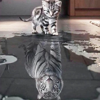 Katė atspindys kvadratiniu/apvalus 5D 