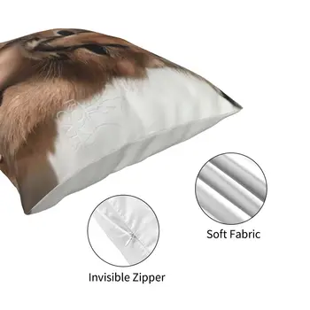 Didelis Floppa Pagalvėles už Sofos Nuostabus Dekoratyvinių Pagalvėlių Apvalkalus Mesti sofos Pagalvės Padengti pagalvėlė padengti sofos namuose