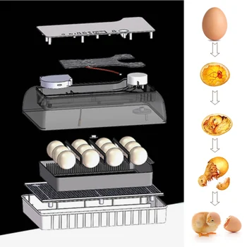 Naujausias Ūkių Perykla Inkubatorius Brooder Mašina 4-35 Kiaušinių Peryklų, Geros Kainos Vištienos Automatinė Kiaušinių Inkubatorius Paukščių Putpelių Brooder