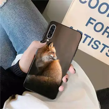 Mielas gyvūnų fox Telefono dėklas Samsung galaxy S pastaba 10 7 8 9 20 30 31 40 50 51 70 71 21 s plus ultra