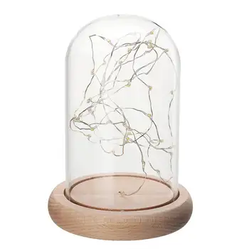 Naujausias Stiklo Kupolas Bell Jar Cloche Ekranas Medinio Pagrindo Su Fairy LED Nakties Šviesos Dekoracijos Kalėdų Dovana Vestuvių