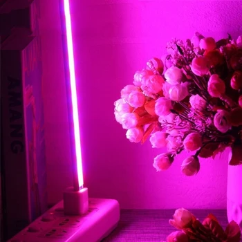 Led Auginimo Lempos Hydroponics Šiltnamio Gėlės, Augalai, Daržovės, Pilno Spektro Led Augalų Auga Šviesos Lempos 5V 2.5 W Raudona Mėlyna UV SPINDULIŲ