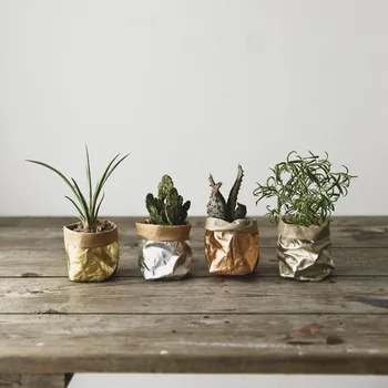 Succulents Sodinamoji Puodą Galima Skalbti Kraftpopieris Vazonas Kūrybos Desktop Mini Gėlių Vazonus Reuseable Daugiafunkcį Namuose Saugojimo Krepšys